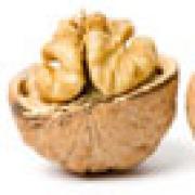 Riddle about walnuts for children