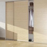 Built-in wardrobe in the hallway photo and its features